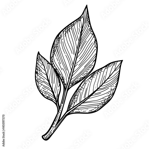 The colors of autumn are represented by yellow leaves, isolated icons of modern orange foliage, and the dry remnants of trees that once flourished, with autumn foliage characterized by the brown