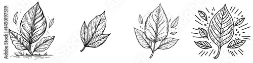 A modern icon representing an autumn leaf is depicted as a cartoon foliage, specifically a fallen tree leaf of orange color, serving as a botanical design element symbolizing nature and a forest