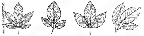 The icon depicts a chestnut leaf, representing autumn and fall tree leaves in a modern isolated foliage setting, symbolizing the chestnut tree's green leaf during the autumn season in forest nature