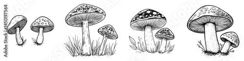 The forest boletus, an autumn fall harvest mushroom, is depicted as a modern isolated icon, characterized by its orange or brown cap, symbolizing Thanksgiving holiday and autumn harvest food