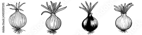 Modern natural vegetable like fresh onion represents garden plant culture, embodying healthy food through isolated organic veggies, notably the ripe plant bulb with brown husk and green leaves, often