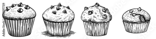 Modern muffin with raisins, a bakery product represented by a sketch icon, featuring pastry food and dried grapes in isolation