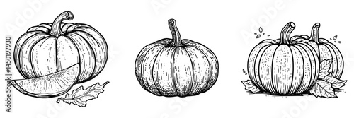A modern icon of a pumpkin is isolated on a white background, representing a ripe raw plant and vegetable harvest often associated with Thanksgiving Day or as a symbol of Halloween, serving as a