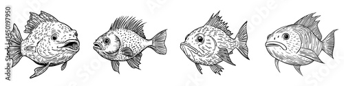 Purrerfish isolated the Japanese fugu fish, which is a modern poisonous blue fish with a puffed stomach