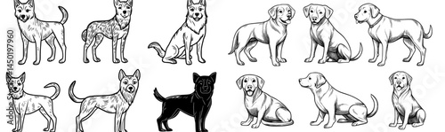 A modern set featuring cute doodle dogs, line black and white funny puppies, and hand drawn pencil illustrations of cartoon smiley pets walking, sitting, and playing