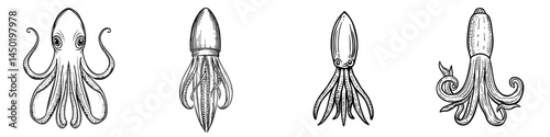 A blue hooked squid with isolated tentacles is an underwater animal, a modern marine cephalopod creature equipped with suctions