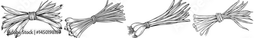 A sketch of lemongrass herb flavoring seasonings in isolation