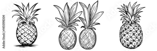 The illustration features a modern exotic pineapple with leaves, symbolizing a tropical food snack and a summer juicy vegetarian ripe dessert, also known as an ananas or pineapple