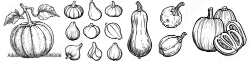 A thin line icon of a pea closed pod represents an isolated legume and vegetarian food, including modern dieting veggies like pigeon pea or cowpea, with raw bobs in peapod and beans