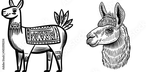 The illustration features a cute and isolated farm llama, depicted as a modern cartoon character with an alpaca and guanaco influence, showcasing a furry face and ears in an ethnic and colorful