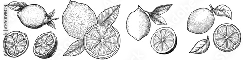A whole lemon, complete with a green leaf, is depicted in a modern isolated sketch as a ripe and sour citrus fruit