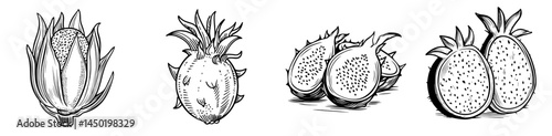 The dragon fruit pitaya is a tropical food often featured as a dessert line icon, showcasing its modern and ripe version, the pitahaya, as a juicy and exotic fruit