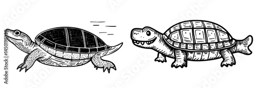 The cartoon Henodus dinosaur character represents a paleontology discovery of an extinct sea reptile or dinosaur from the isolated Mesozoic era, portrayed as a prehistoric aquatic turtle, and is