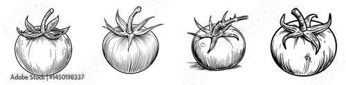 Modern dieting cherry-tomato and whole ripe round tomato are key ingredients in a vegetarian food salad, represented by a line icon of a tomato berry with leaf isolated as a vegetable