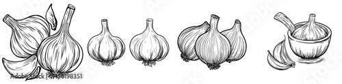 Modern ripe summer cluster or sycamore fig, a sweet and healthy snack, represented by a fig whole fruit isolated exotic food berry line icon as a vegetarian food option of ficus carica