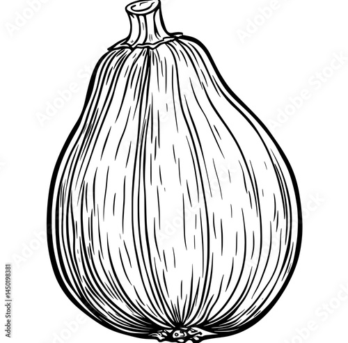 The cartoon of a raw pumpkin is an iconic representation of autumn food in a vegetarian diet, usually from a garden or farm, and serves as a symbol of Thanksgiving and modern plant representation,