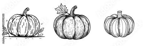 Organic pumpkin illustration, symbolizing healthy eating and vegan diet, often associated with Halloween and Thanksgiving, representing a fresh and nutritious food choice from the garden or farm