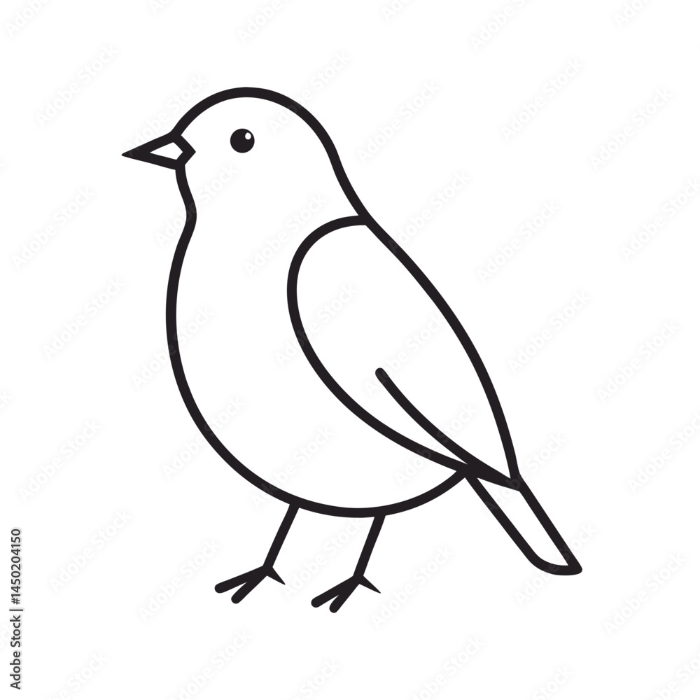 Fototapeta premium European Robin Bird Outline Line Art Vector