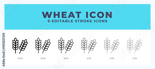 Wheat line icon with different stroke. Vector illustration.