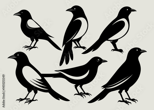 Wallpaper Mural set of birds silhouette set 6 pis bundle Vector icon illustration silhouette Graphics design image white background Torontodigital.ca