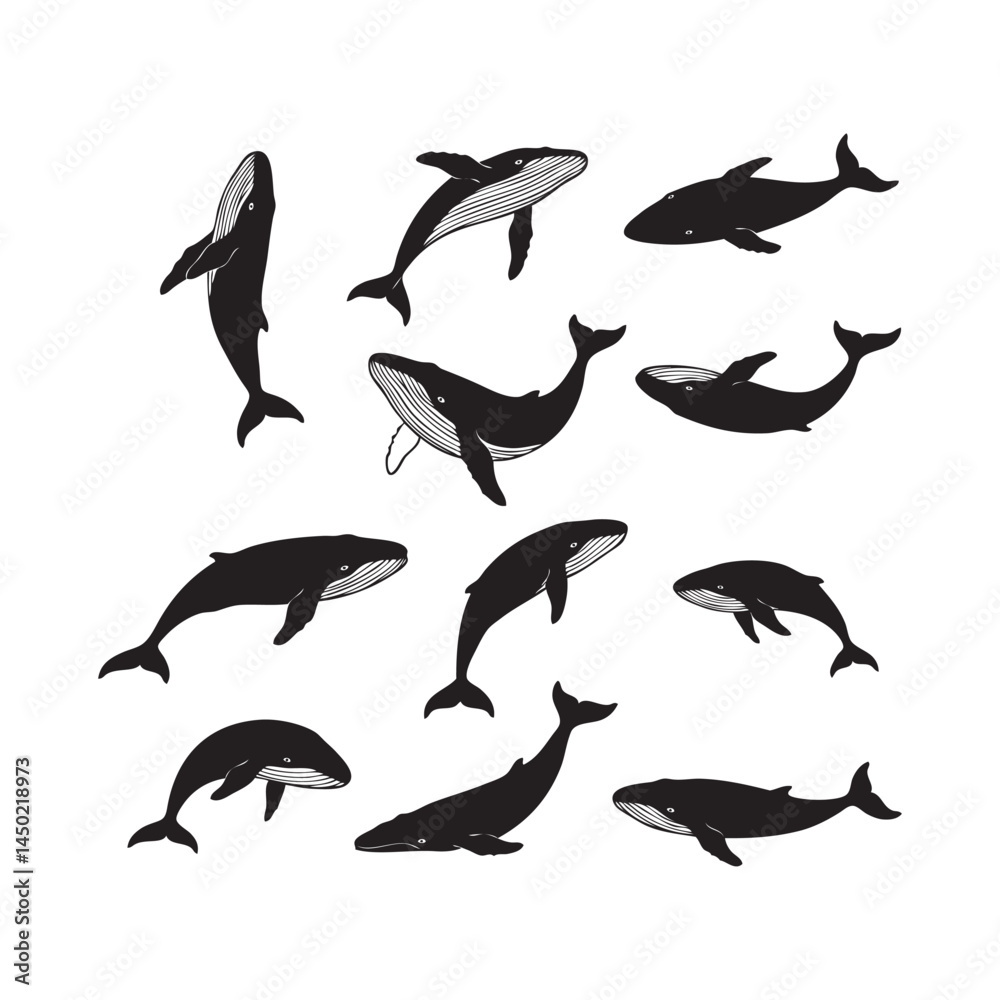 Fototapeta premium Silhouette Collection of Jumping Whales