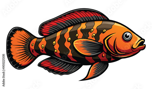 Isolated red goldfish, a white aquatic animal, swimming in aquarium water