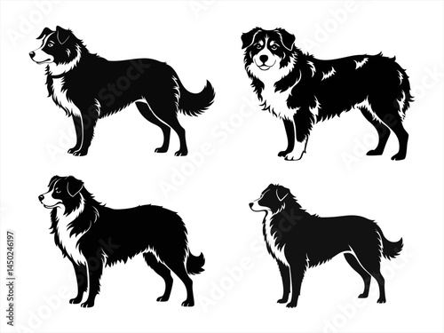 australian shepherd sihouette black vector bundle