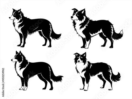 border collie sihouette black vector bundle