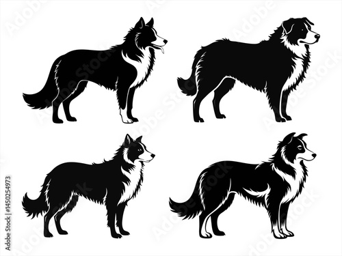 border collie sihouette black vector bundle
