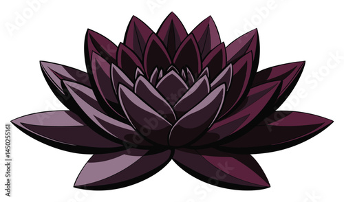 Dark purple lotus flower illustration graphic design
