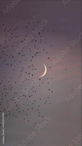 A crescent moon ascends above a flock of birds against a muted, twilight sky