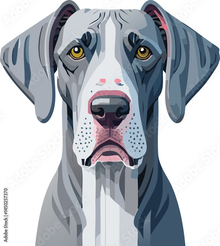Great Dane flat vector illustration on transparent background.