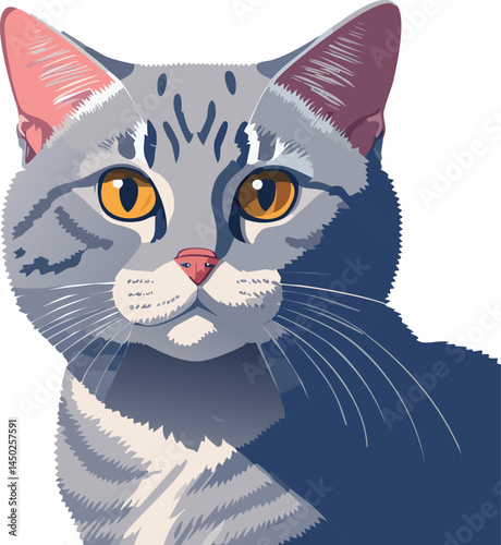 British Shorthair flat vector illustration on transparent background.
