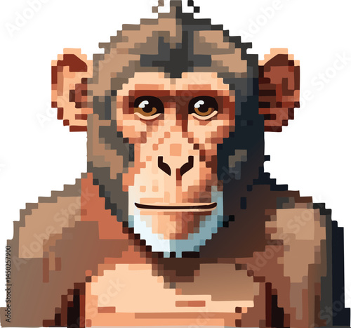 Monkey flat vector illustration on transparent background.