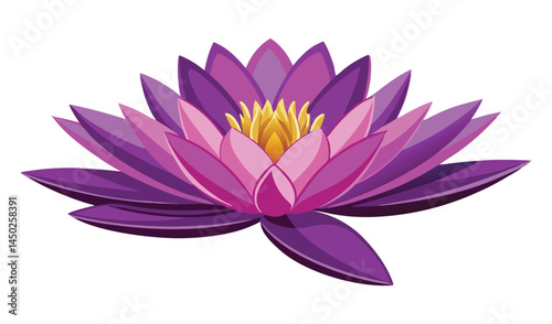 Purple and pink water lily flower illustration