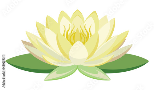 Pale yellow water lily flower on lily pad