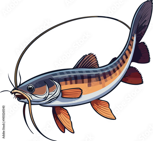Redtail Catfish flat vector illustration on transparent background.
