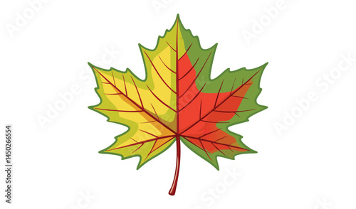 autumn maple leaf