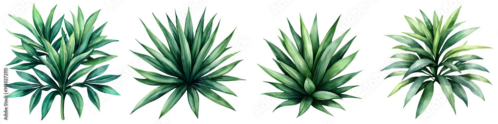 Fototapeta premium Lush tropical plant leaves in various shades of green