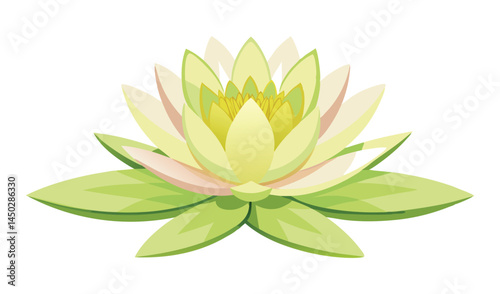 Pale yellow water lily flower isolated on white
