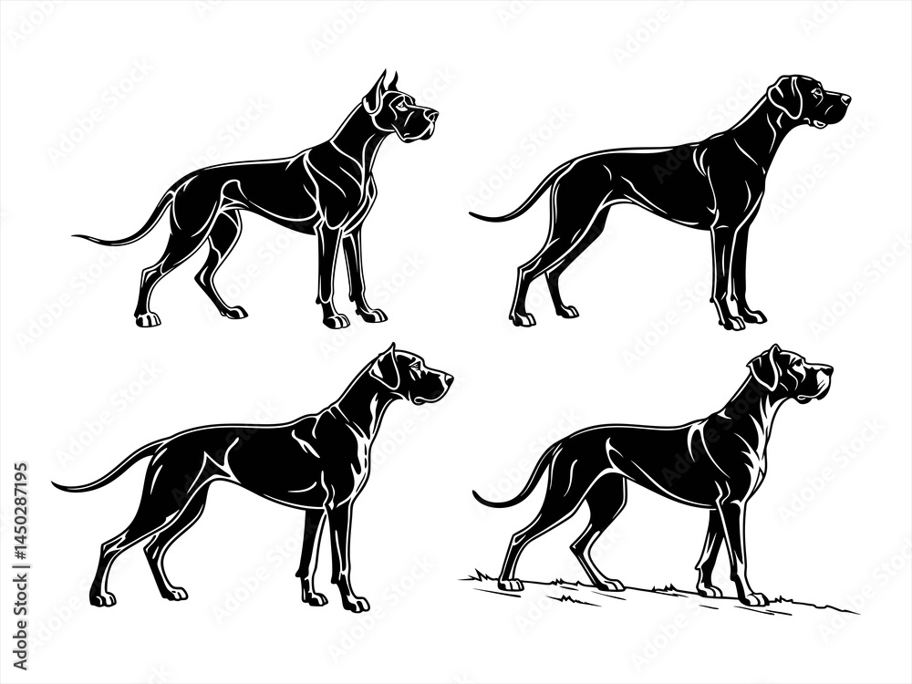 Obraz premium great dane sihouette black vector bundle