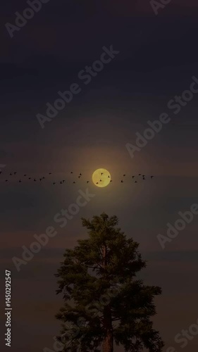 Full moon, silhouettes of trees and birds, twilight sky