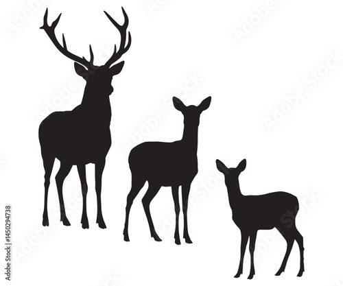 Graphic representations of deer silhouettes, featuring male, female, and roe deer