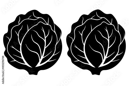 Two cabbage heads silhouette vector illustration with transparency on white background, cabbage, head, silhouette, vector, illustration, vegetable, food, healthy, garden, farming, agriculture, plant