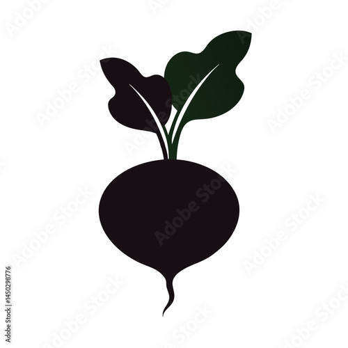 plant with roots