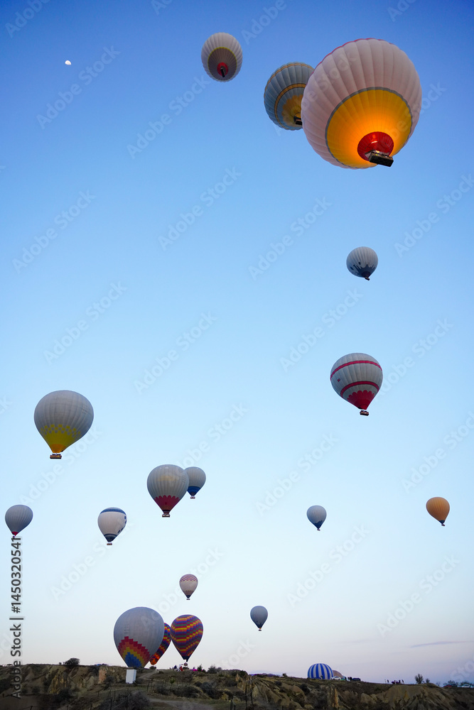 Fototapeta premium Hot Air Balloon in Cappadocia, Nevsehir, Turkiye