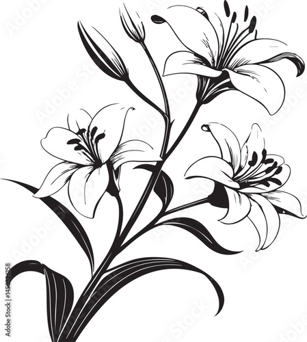 Funeral flowers (lilies), Death, Loss and Mourning, Black and White Vector Illustration, Sketch Drawing Line Linear Symbol Icon Engraving, Hand-drawn Isolated
