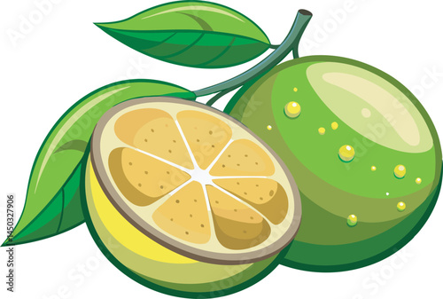A vibrant vector art illustration of mamoncillo (Spanish lime) fruit, showcasing its green skin, tropical appeal, and fresh, juicy appearance