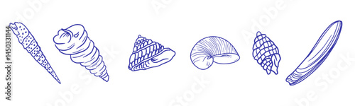 Seafood sketch. Vintage fish food drawing for restaurant menu or kitchen poster. Shrimp, seashell, in doodle sketch style.