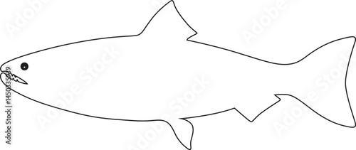 Line Art of Fish